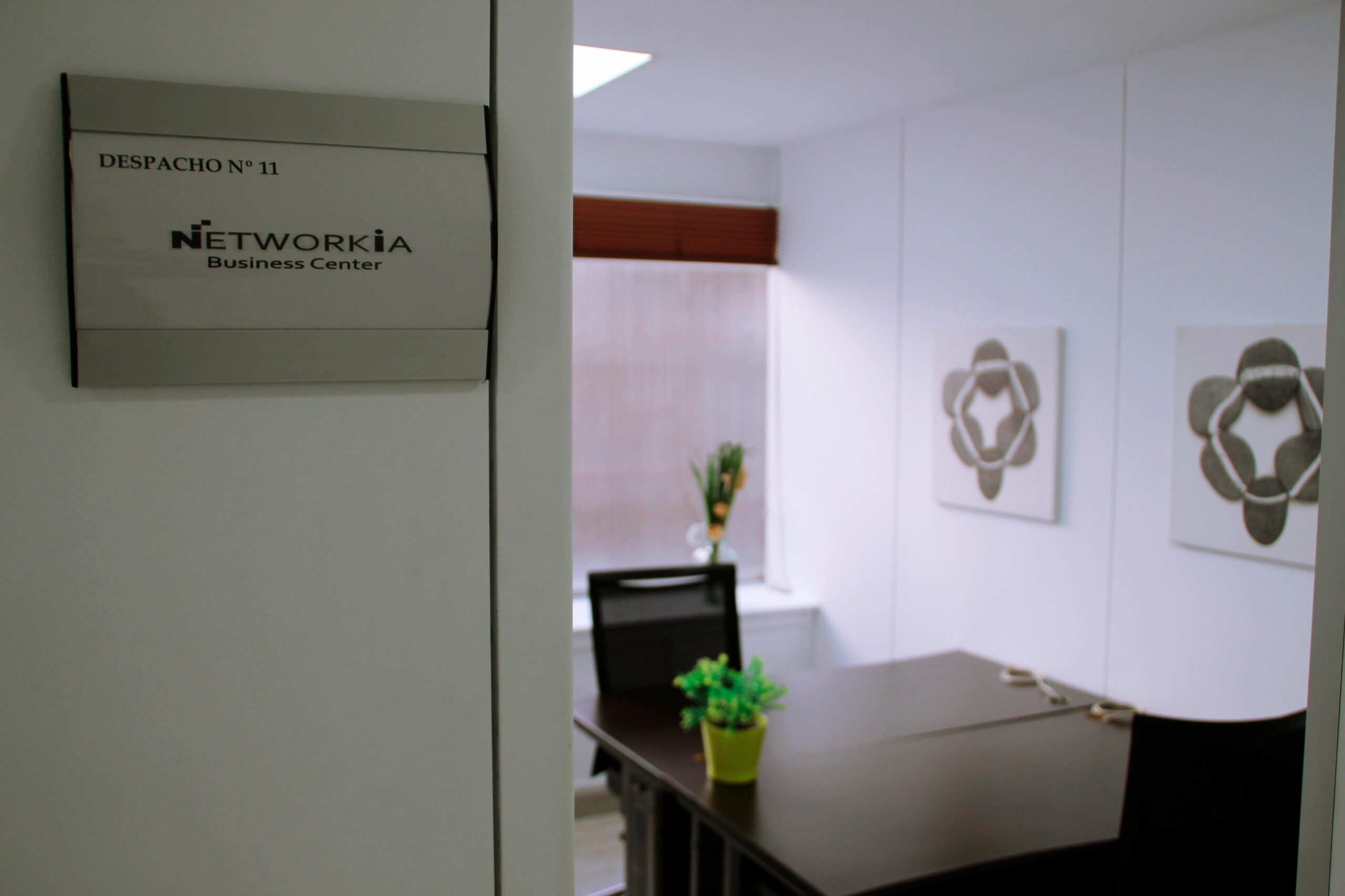 A new 5 stars in NETWORKIA