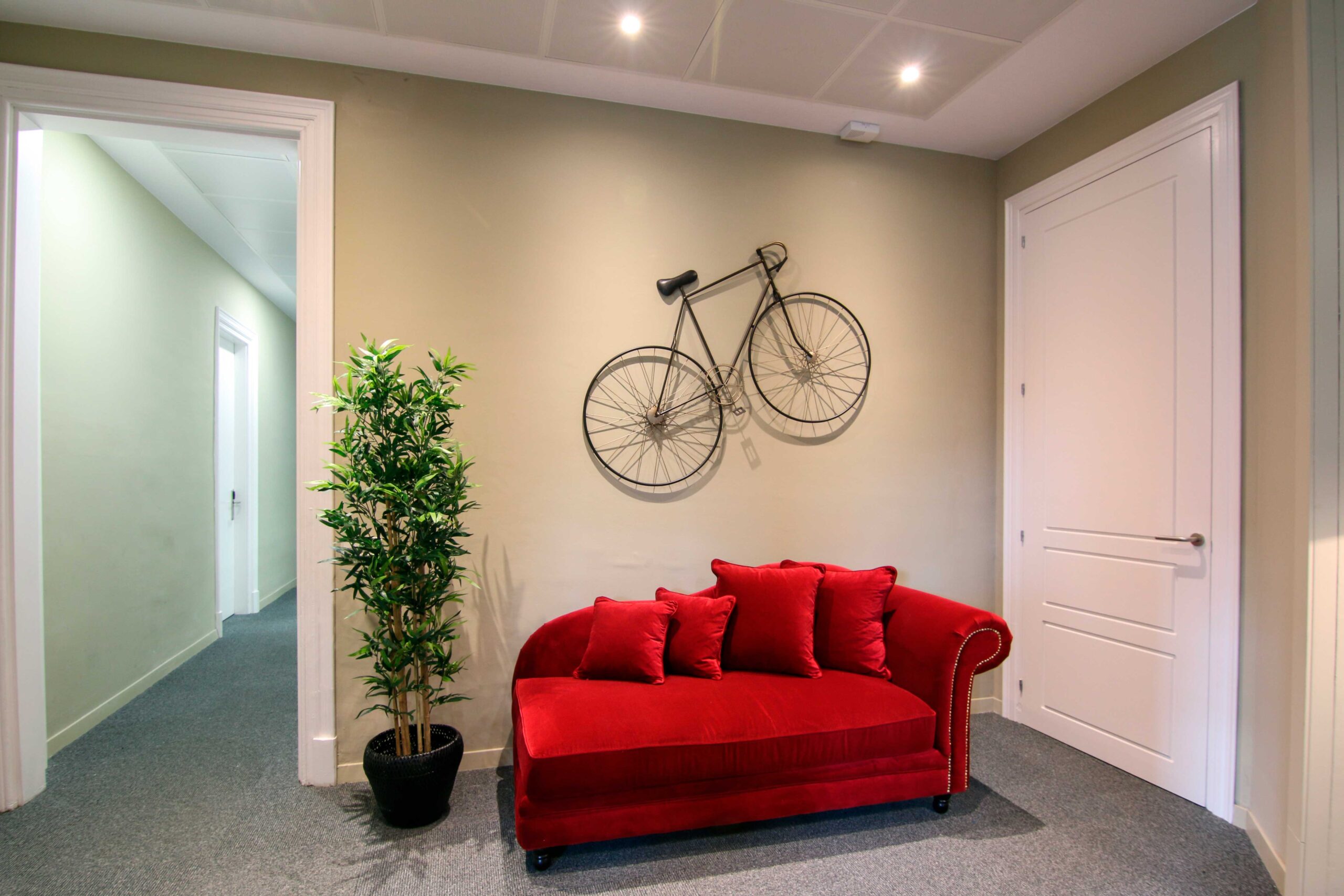 IMG 9154 photo Infracción de marca