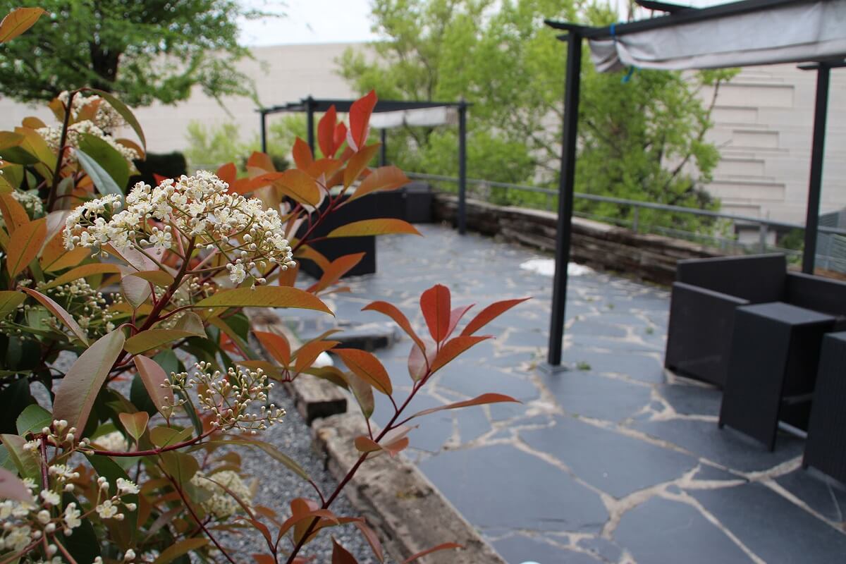 Terraza moraleja photo Networkia