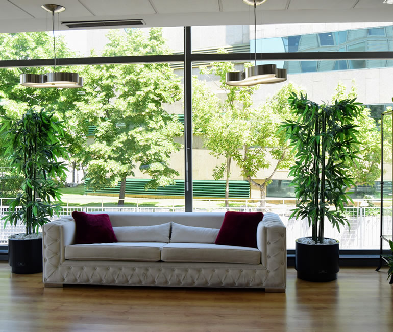 DSC 0859 photo image