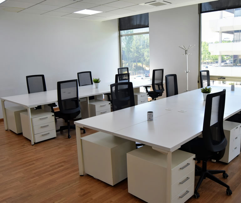 DSC 0921 photo image