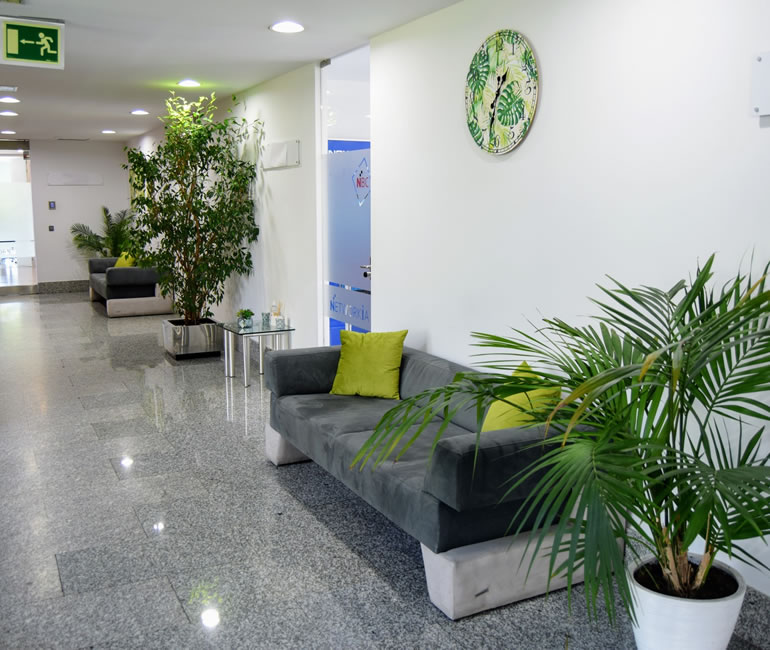 D SC 0897 photo image