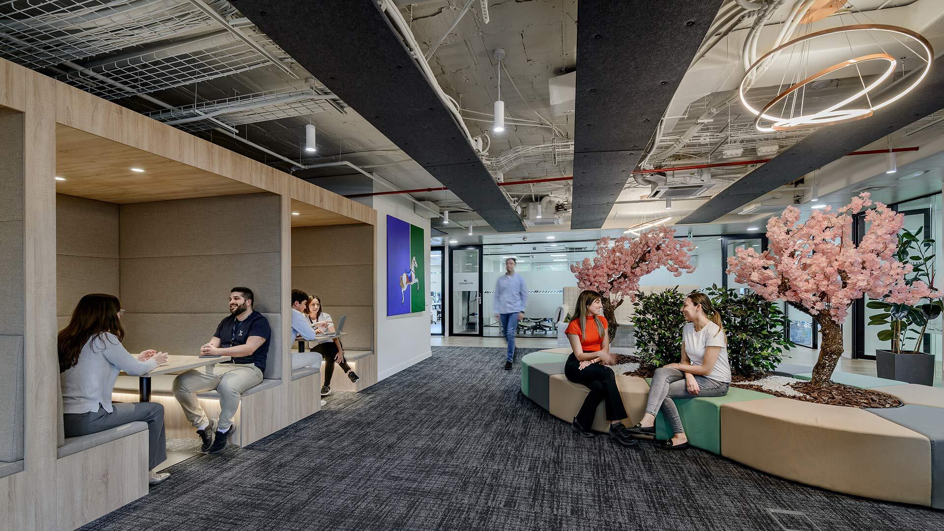 NETWORKIA CASTELLANA 01 photo image