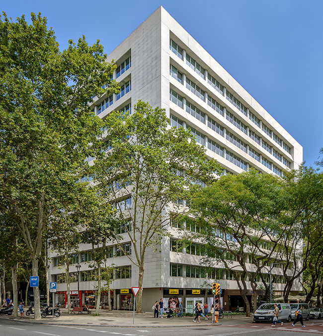 NETWORKIA DIAGONAL 01 BAJA3 photo image