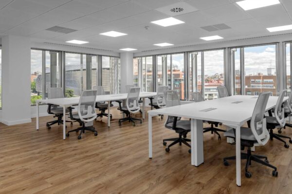 Col n photo BAJA_NETWORKIA_CASTELLANA_11