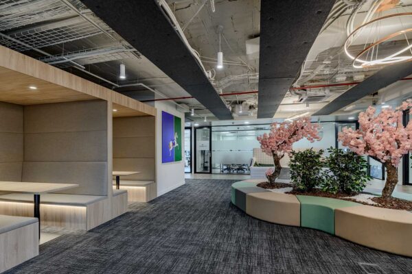 Col n photo BAJA_NETWORKIA_CASTELLANA_18