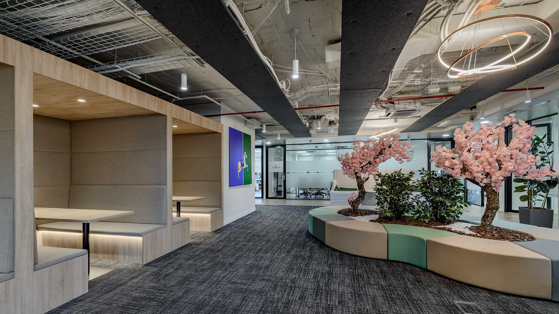 BAJA NETWORKIA CASTELLANA 18 photo Colón